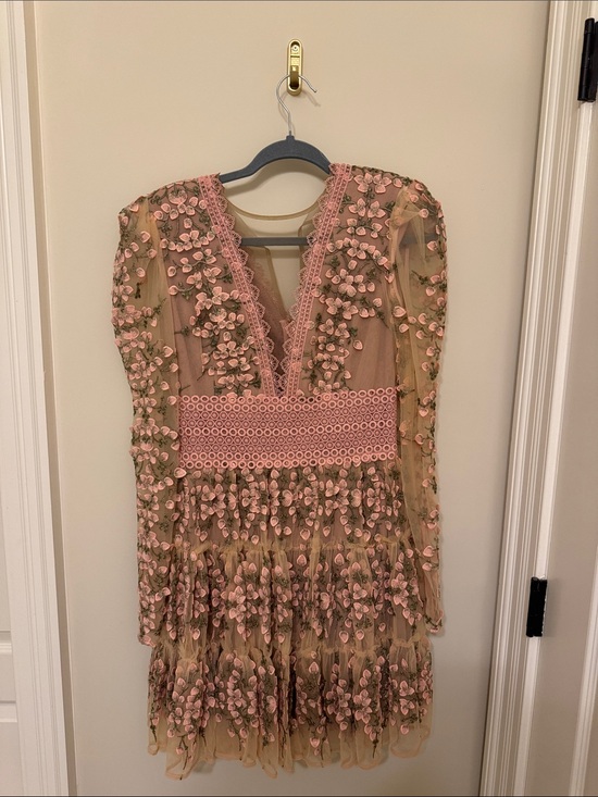 Bronx and Banco Dresses & Skirts - Bronx and Banco Pink Appliqué Sheer Long Sleeve “Meagan” Mini Dress